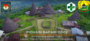 INovasi Safari