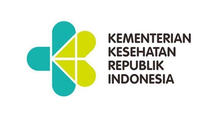 FUNGSIONAL KEMENKES